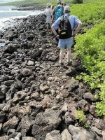Wanderung auf der Isla Lobos