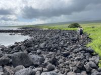 Wanderung auf der Isla Lobos