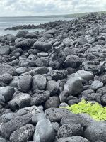 Wanderung auf der Isla Lobos - Seelöwen