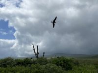 Wanderung auf der Isla Lobos