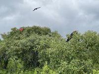 Wanderung auf der Isla Lobos