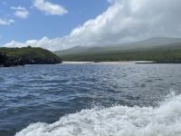 Bootsfahrt vor der Isla Lobos