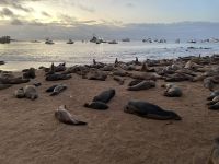 Bootsfahrt vor der Isla Lobos