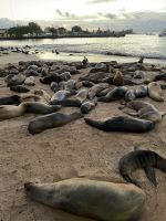 zurück in der Inselhauptstadt Puerto Baquerizo Moreno