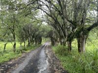 Fahrt zur El Chato Ranch 