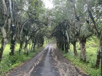 Fahrt zur El Chato Ranch 