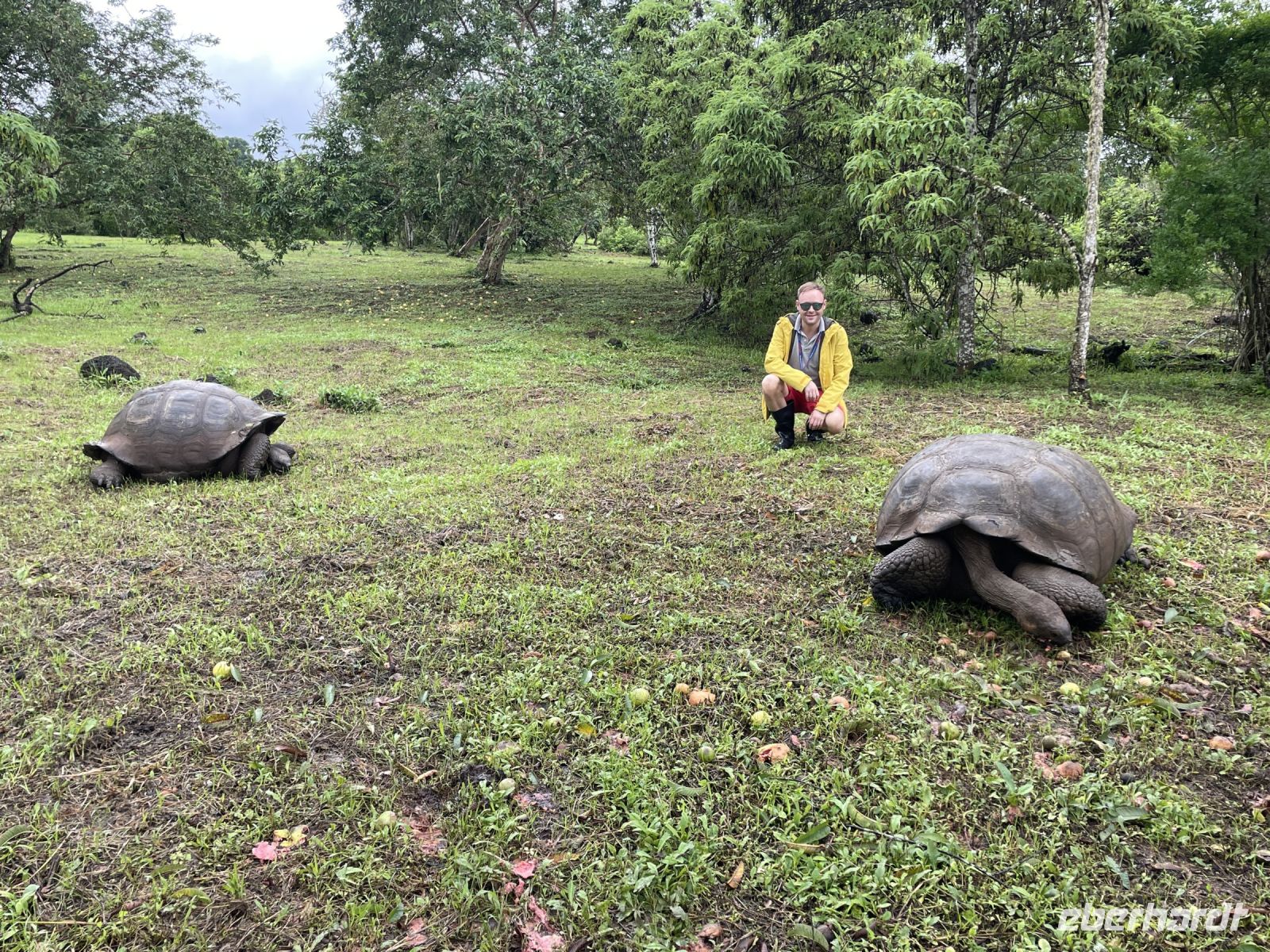 Rundgang auf der Chato Ranch - wir sehen die Riesen-Schildkröten 