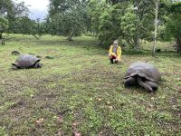 Rundgang auf der Chato Ranch - wir sehen die Riesen-Schildkröten 
