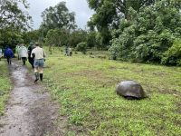 Rundgang auf der Chato Ranch - wir sehen die Riesen-Schildkröten 