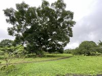 Rundgang auf der Chato Ranch