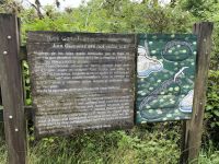 Los Gemelos - Vulkan Schlote