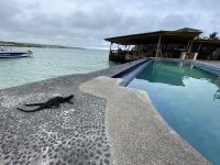 Hotel Isla Sol auf der Isla Santa Cruz 