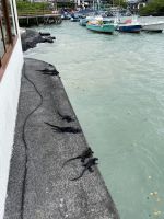 Hotel Isla Sol auf der Isla Santa Cruz 