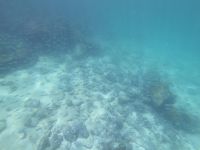 Schnorcheln vor der Isla Lobos