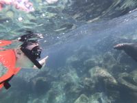 Schnorcheln vor der Isla Lobos