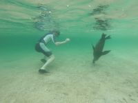 Schnorcheln vor der Isla Lobos