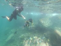 Schnorcheln vor North Seymour Island