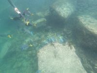 Schnorcheln vor North Seymour Island