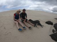 Auf Tuchfühlung mit den Seelöwen auf Mosquera Island