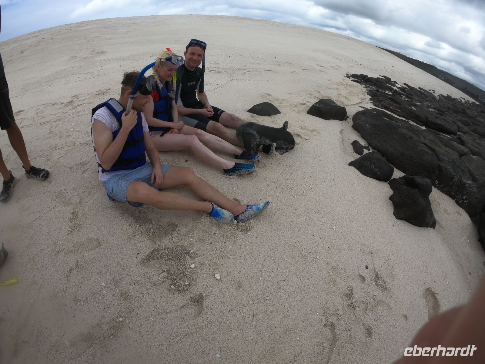 Auf Tuchfühlung mit den Seelöwen auf Mosquera Island
