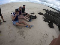 Auf Tuchfühlung mit den Seelöwen auf Mosquera Island