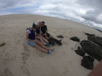 Auf Tuchfühlung mit den Seelöwen auf Mosquera Island