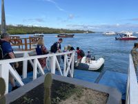 Ausflug nach North Seymour Island