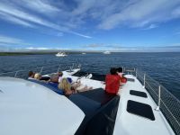 Ausflug nach North Seymour Island