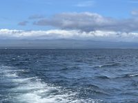 Ausflug nach North Seymour Island