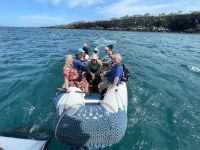Bootstour vor North Seymour Island