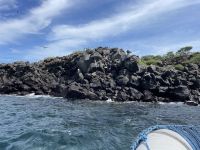 Bootstour vor North Seymour Island