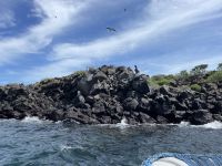 Bootstour vor North Seymour Island