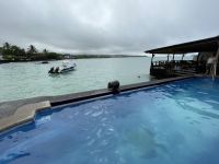 Seelöwe im Hotel Isla Sol