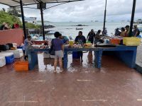 Fischmarkt auf der Isla Santa Cruz