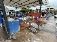 Fischmarkt auf der Isla Santa Cruz