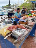 Fischmarkt auf der Isla Santa Cruz