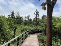 Charles Darwin Station - Isla Santa Cruz