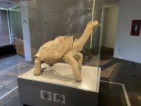 Charles Darwin Station - Isla Santa Cruz