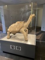 Charles Darwin Station - Isla Santa Cruz