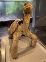 Charles Darwin Station - Isla Santa Cruz