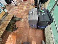 Am Hafen von Isla Santa Cruz