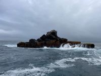 Bootsausflug auf Isla Isabela zu den Felsen von 
