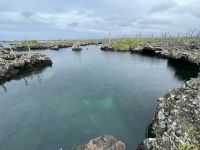 Isla Isabela - Felsen von 