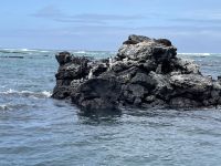 Isla Isabela - Felsen von 