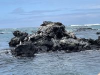 Isla Isabela - Felsen von 