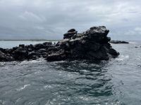 Isla Isabela - Felsen von 