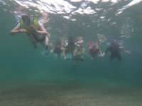 Schnorcheln vor der Insel Isla Isabela