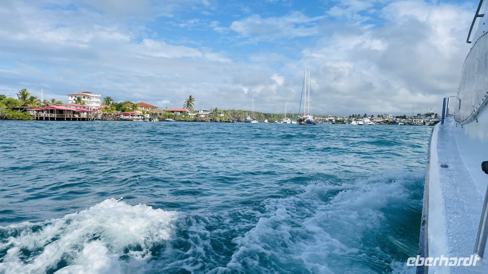 Heimreise von Isla Isabela zurück nach Santa Cruz