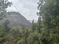 Chile - Ausflug ins Maipo-Tal