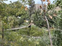 Chile - Ausflug ins Maipo-Tal